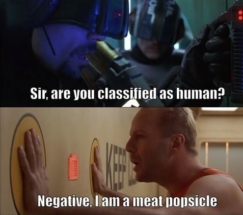 Meat Popsicle - meme