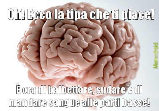 Douchebag brain. - meme