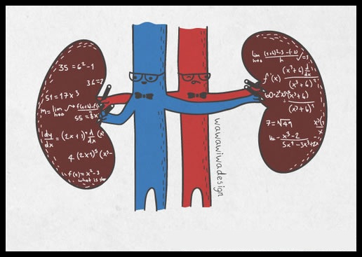 Cálculo renal - Meme by Beethoven_huehue :) Memedroid