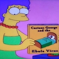 Simpsons mentioned it before it was cool