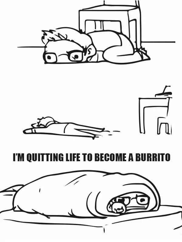Burrito - meme