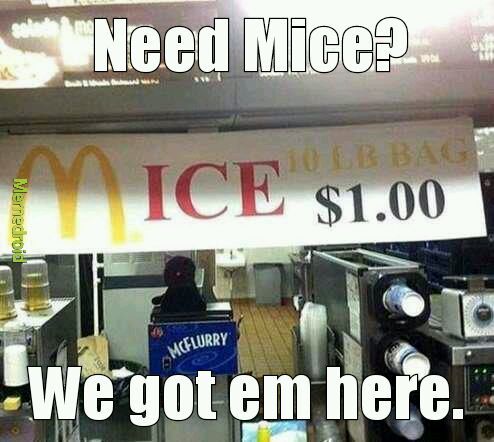 McDonald's Mice - meme