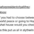 Slytherin isn't bad. We're just misunderstood...