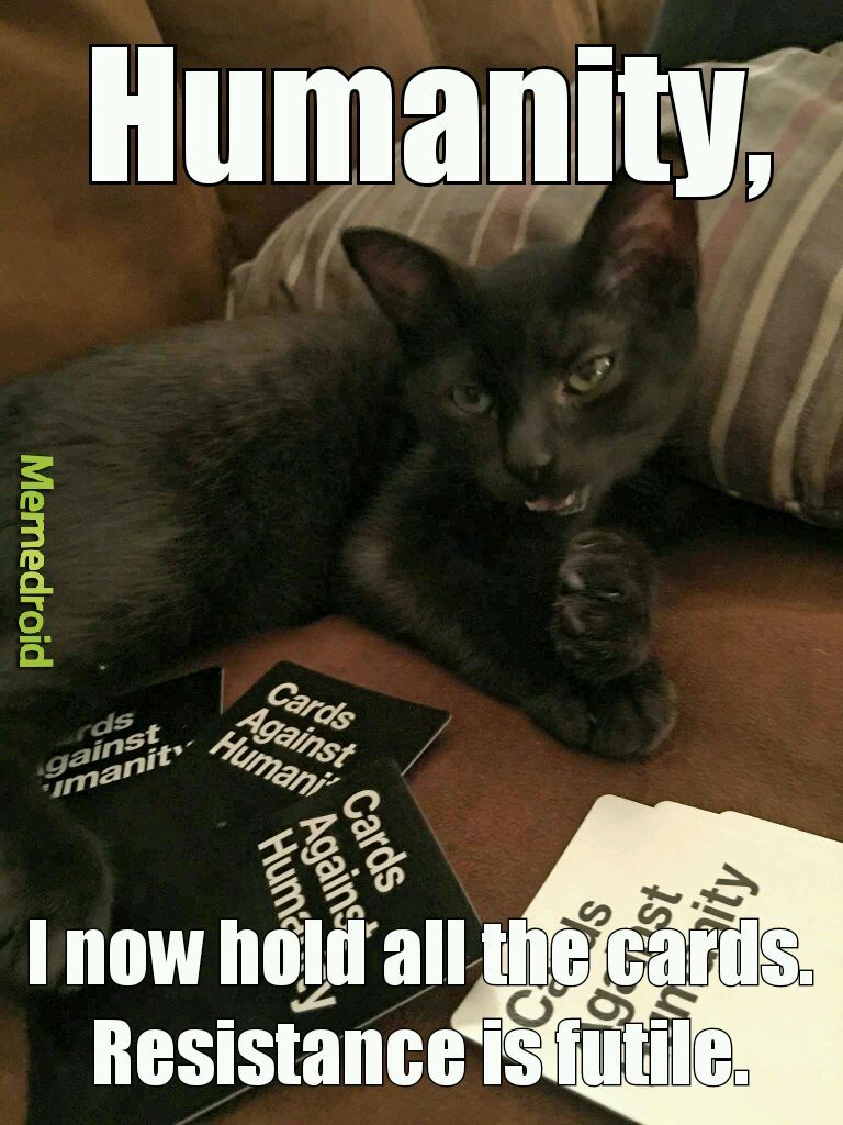 Cards Against Humanity Cat - meme