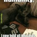 Cards Against Humanity Cat