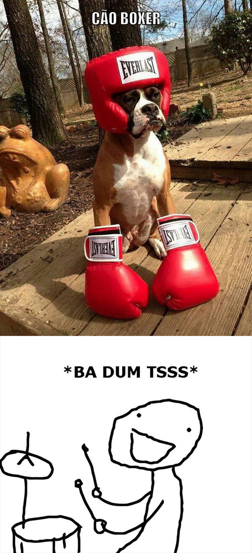 Raça boxer - meme