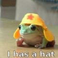 Yup,he has a hat