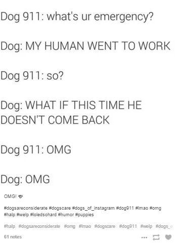 dog logic - meme