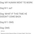 dog logic