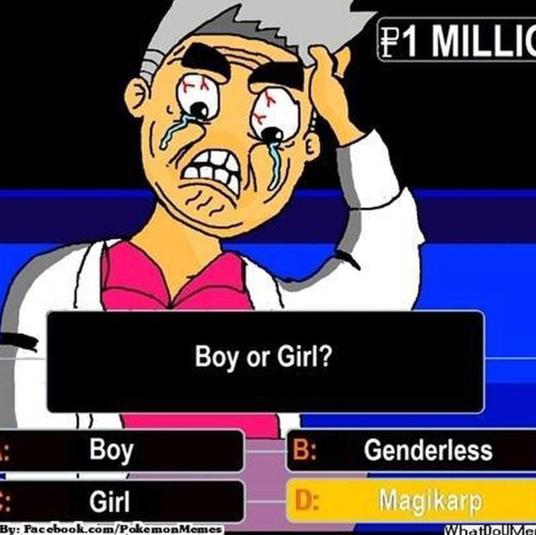 Boy or girl ? - meme