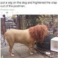 I'M A LION