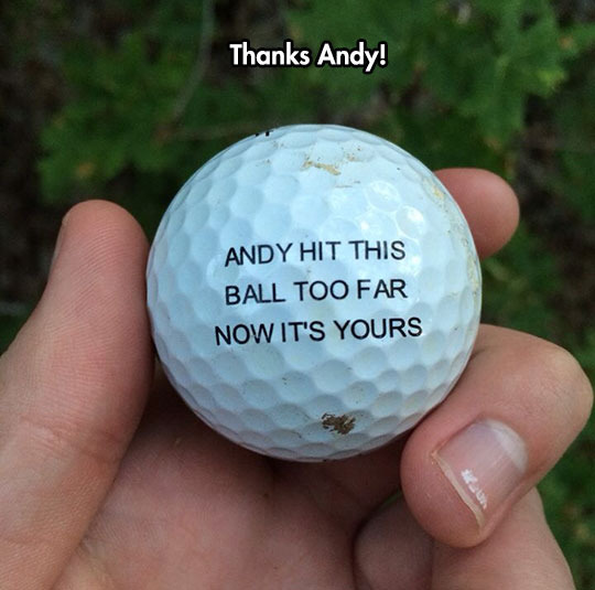 Thanks Andy - meme