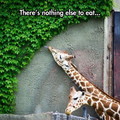 I feel sorry for the giraffe