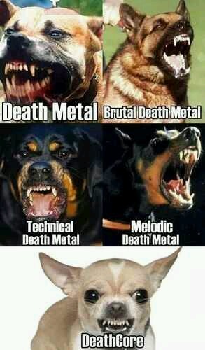 Deathcore is for pussies. - meme