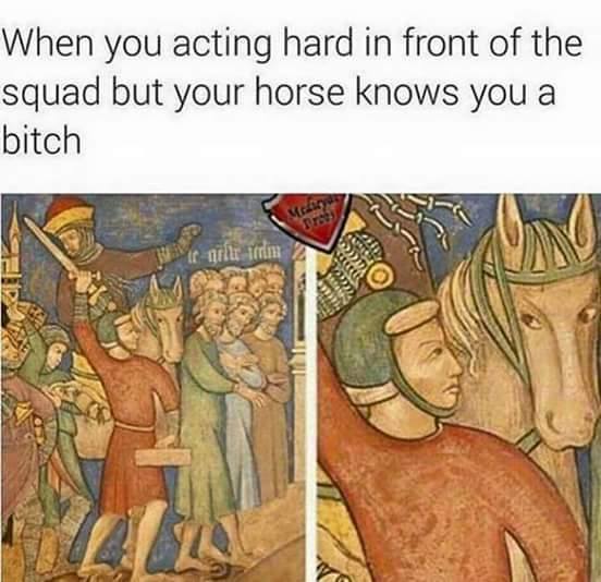 Equine intelligence is greater than previously assumed - meme
