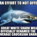 Sharks are so awesome