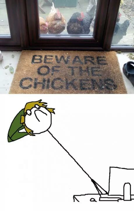 Chickens - meme
