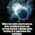 White Dwarfs