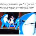 Poor shark :(