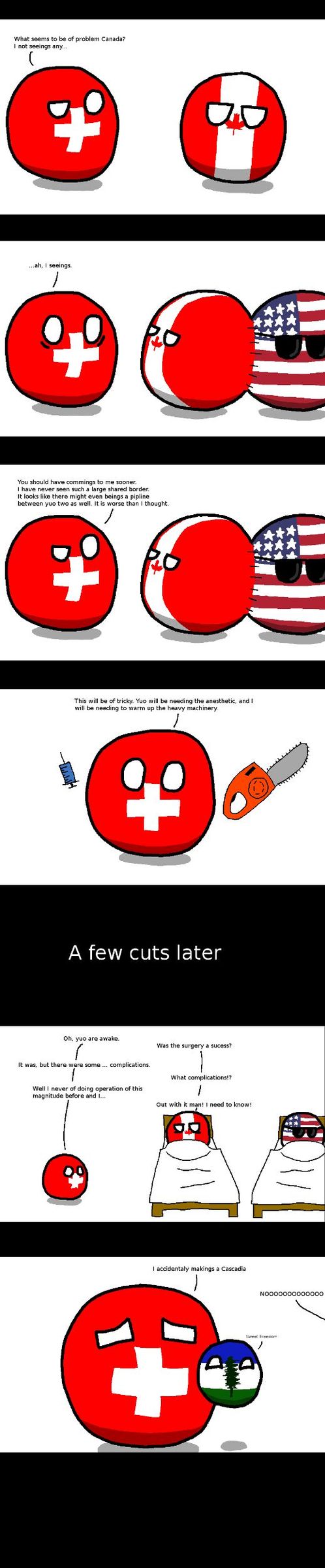 Dr. Switzerland 5 - meme