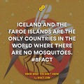 Iceland and Faroe lands