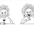 Lion Einstein