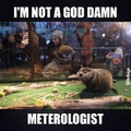 Groundhog Meteorologist