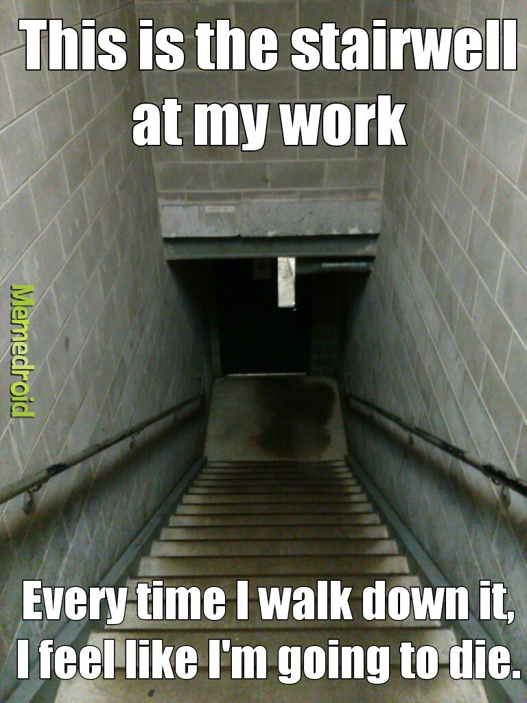 I work at a restaurant. This is to the basement. - meme
