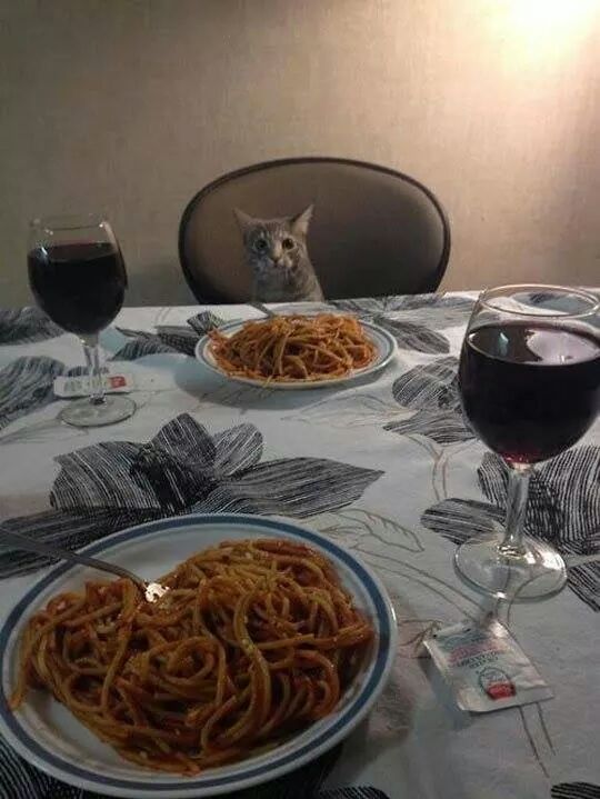Dinner with your special one - meme