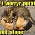 I luvz you potato