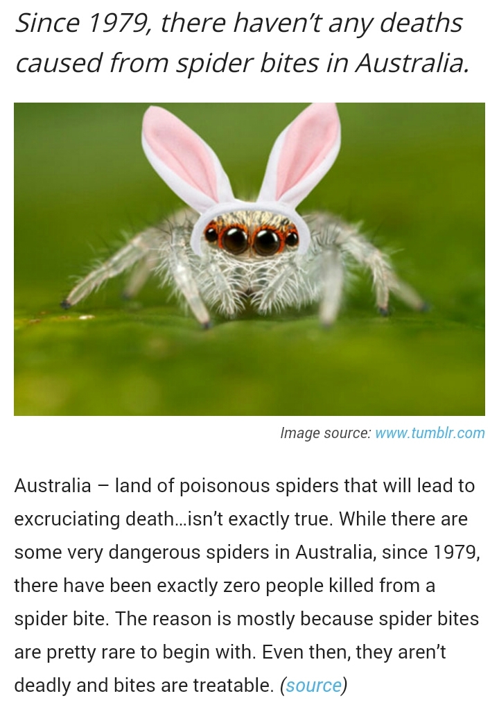 Everything I thought I knew was a lie. Your move Australia. - meme