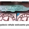 Whale Cum, Memedroiders