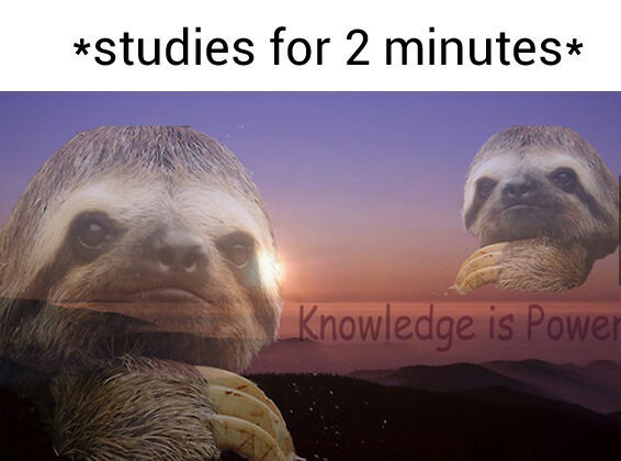 Knowledge is power : r/memes