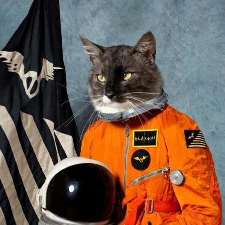 Space cat - meme