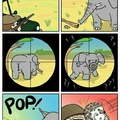 when elephants attack