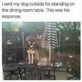 Smart ass dog