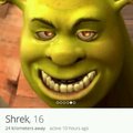 Shrek on Tinder