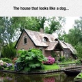 that house