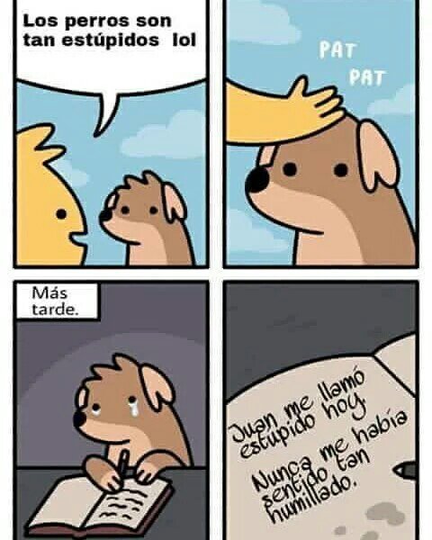 Pobre perro - meme