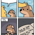 Pobre perro