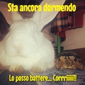 commented item thumbnail