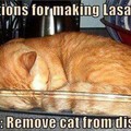 Lasagna mmmm