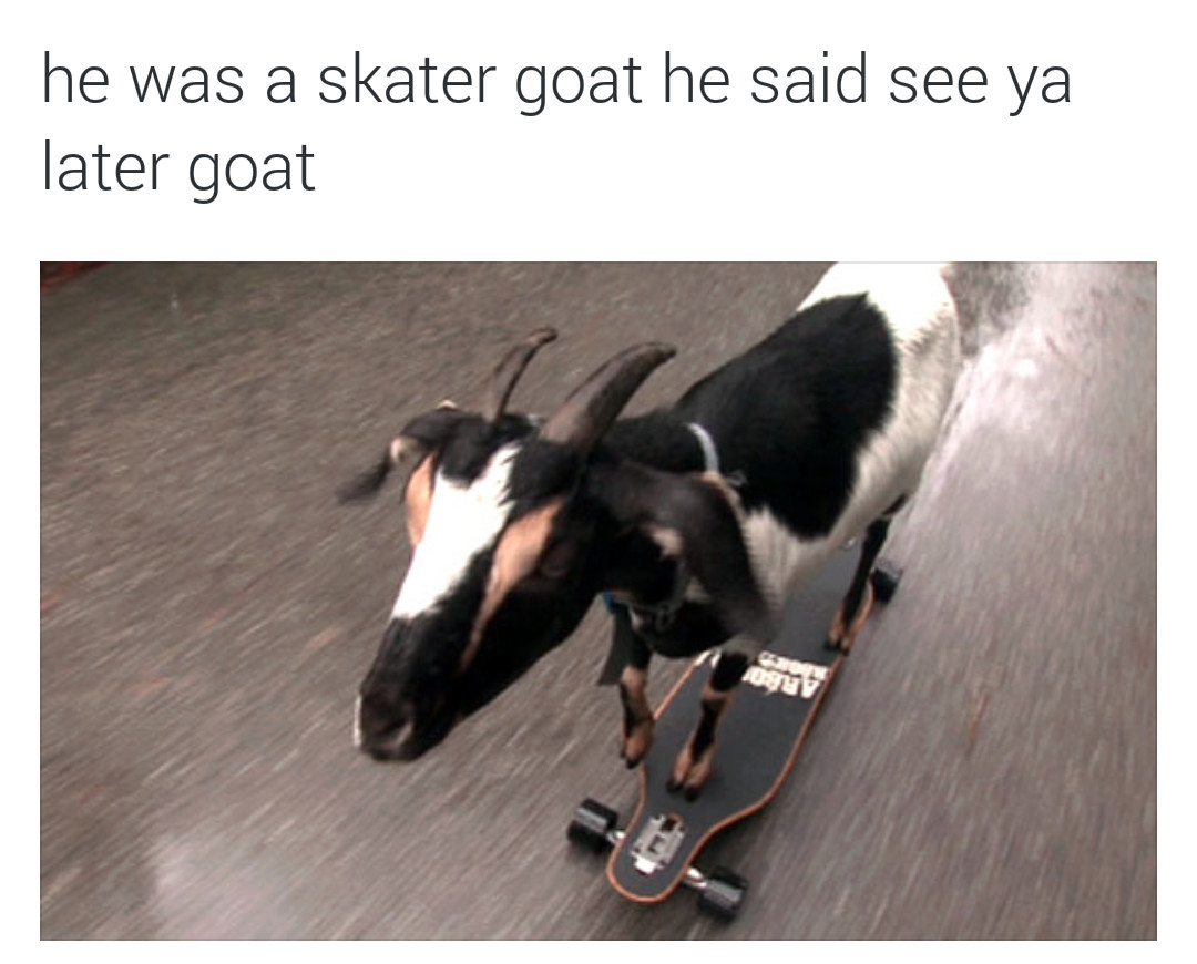 What ever floats your goat - meme