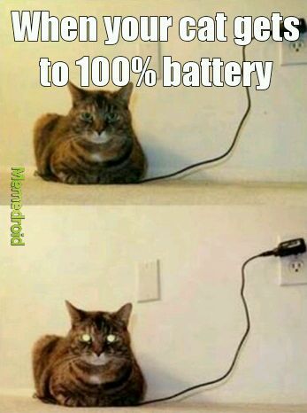 We all need a charge once in a while - meme