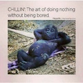the art of chilling