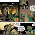 IDW TMNT run is great. You should try it.