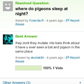 Fifth comment is mutated Pigeon-bat