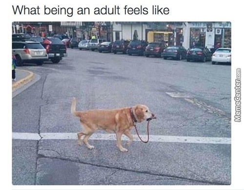 Exactly - meme