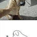 Forever alone lvl chien