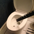 How to kill a spider.